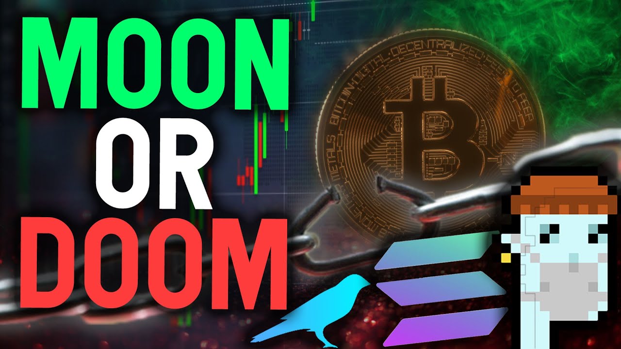 Bitcoin price passes $50k as ‘moon’ predictions return