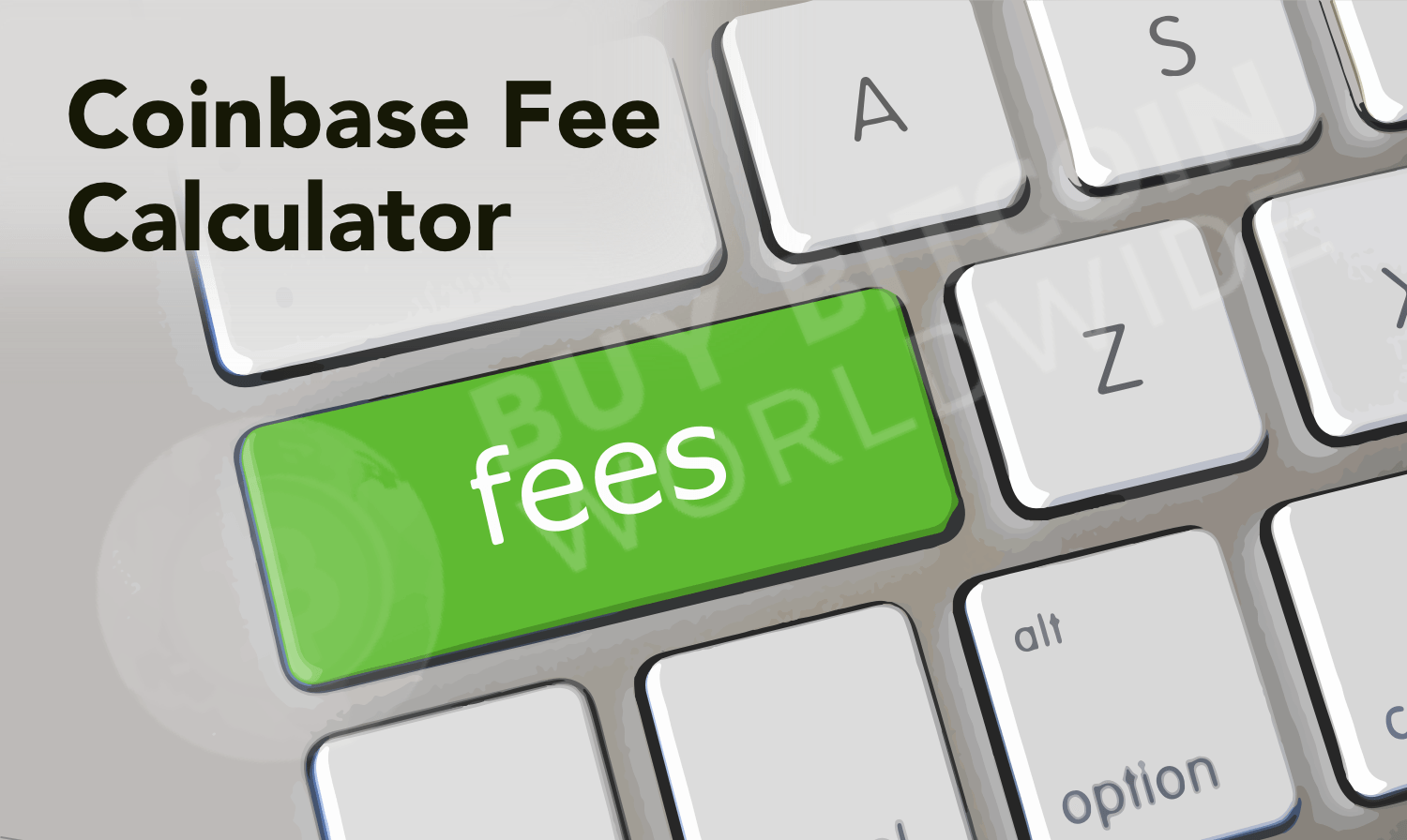 Bitcoin Fees Now, #1 Estimator and Fee Calculator