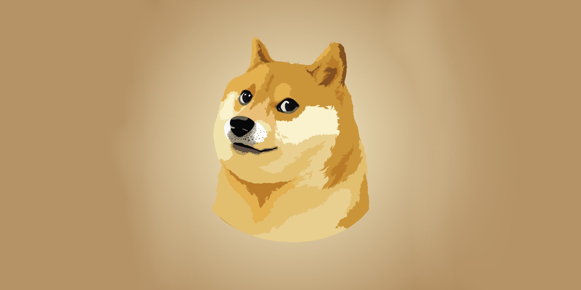 The Shiba Inu dog behind the doge meme turns 16 - CNET