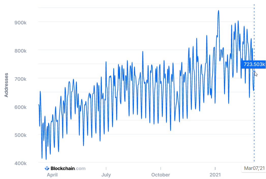 Top Richest Bitcoin Addresses and Bitcoin distribution