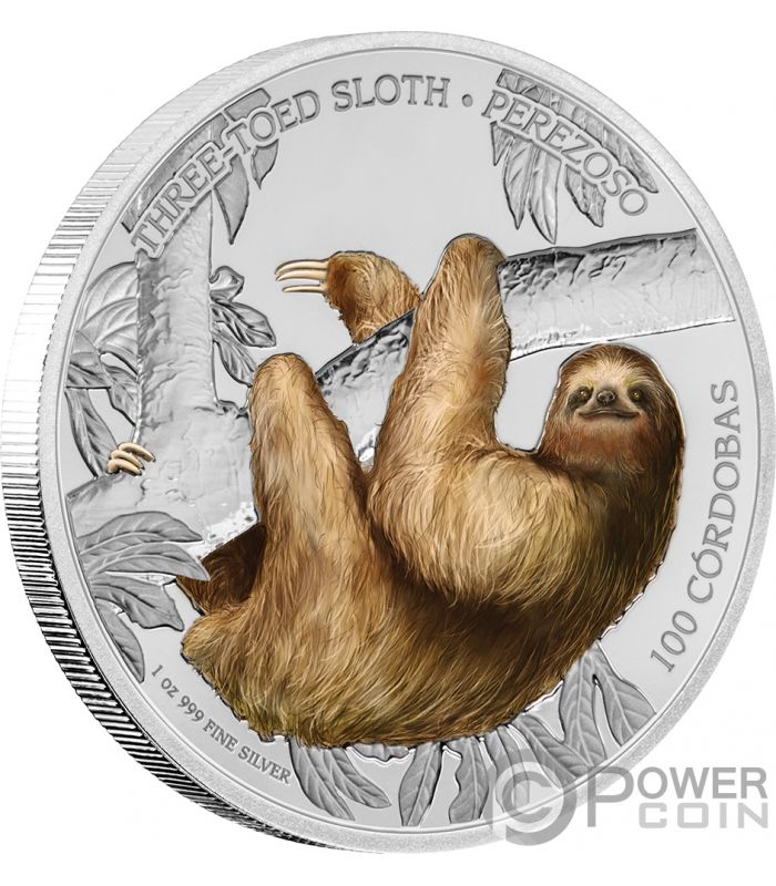 Slothcoin Price Today - SLOTH to US dollar Live - Crypto | Coinranking