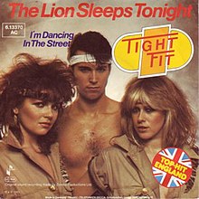 The lion sleeps tonight - The Tokens