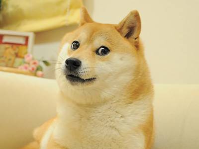 1 USD to DOGE - US Dollars to Dogecoins Exchange Rate