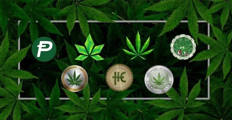 Cannabiscoin (CANN) Price Prediction , How much will CANN be worth? - CoinArbitrageBot