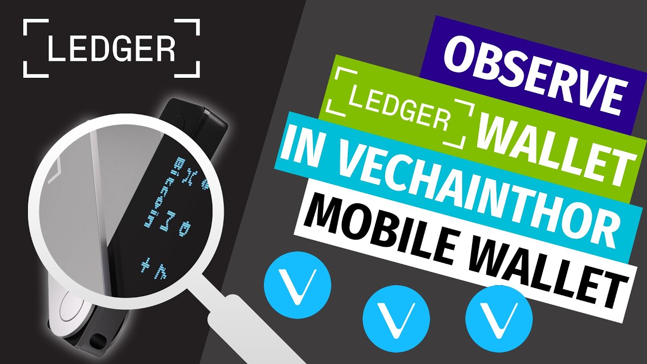 How to use the Vechain mobile app Observe wallet function | bitcoinlove.fun