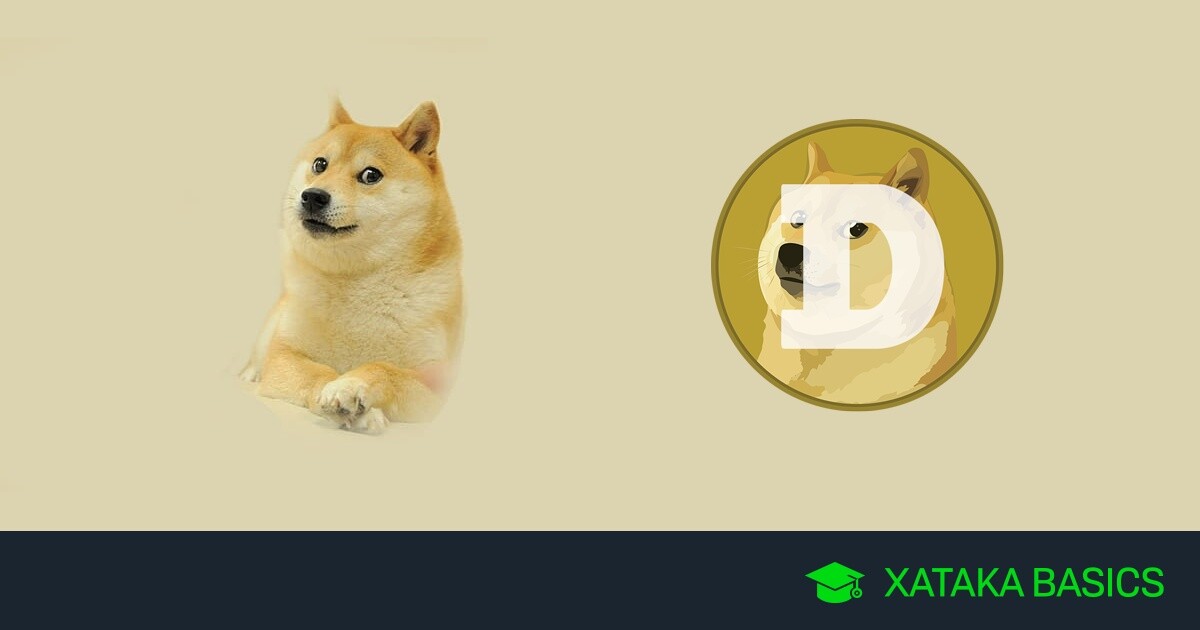 Dogecoin price today, DOGE to USD live price, marketcap and chart | CoinMarketCap