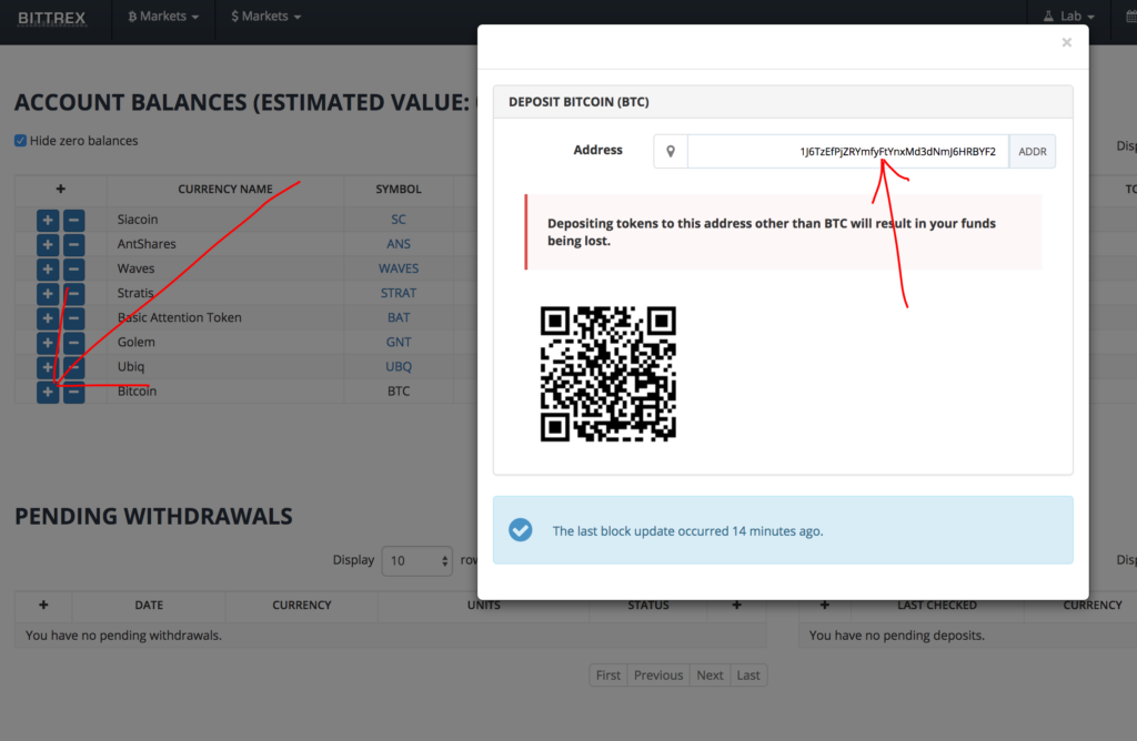 Bittrex Global | Questions and answers about the Bittrex Global wind-down process