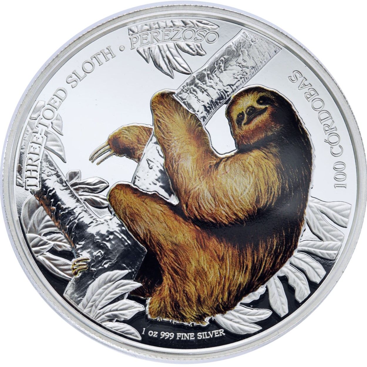 Slothcoin Price Today - SLOTH Coin Price Chart & Crypto Market Cap