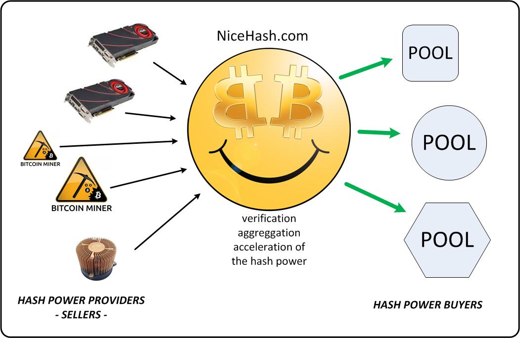 Mining Pool Hub I Home