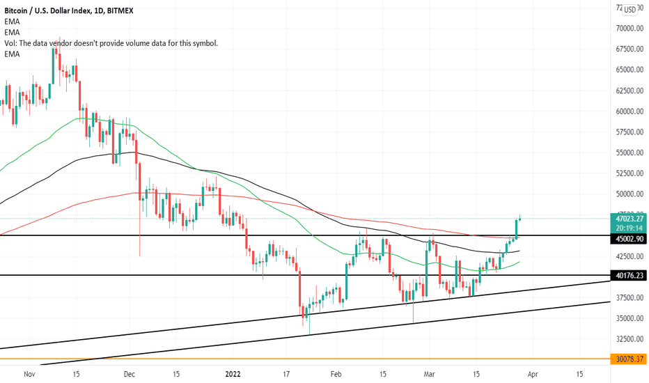 XBT — Bitcoin to US Dollar Index Price Chart — TradingView