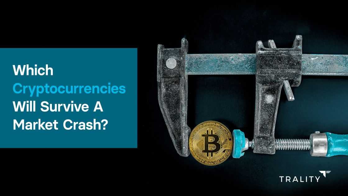 Five Cryptocurrencies That Will Survive the Crypto Crash - PayBitoPro