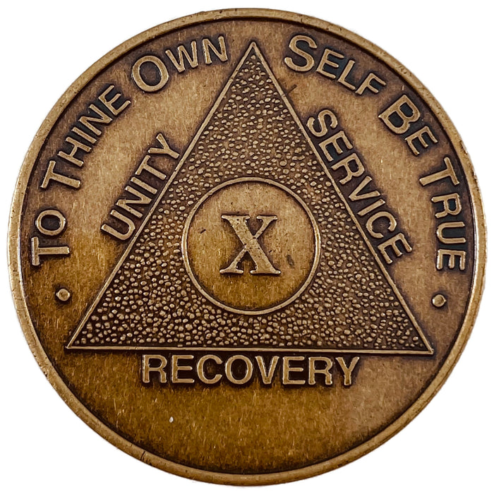 5 Year AA Chips – RecoveryChip