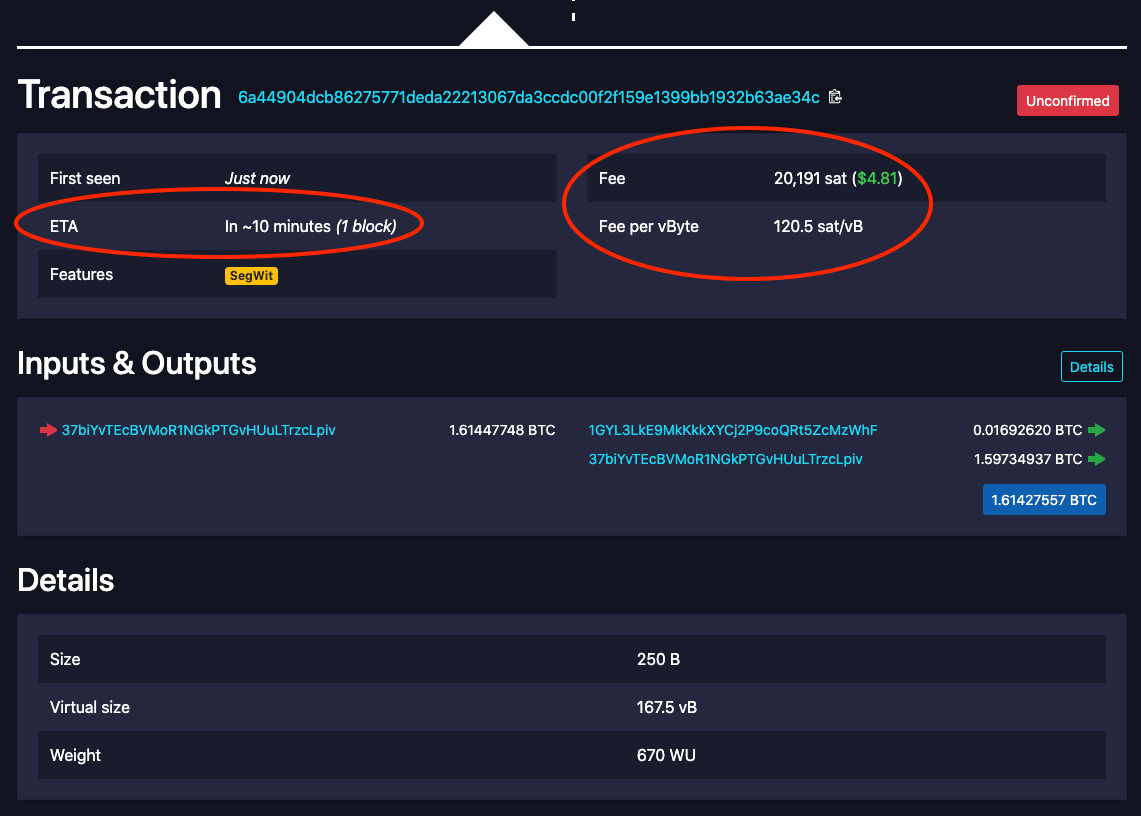 Pending Bitcoin Inscription Transaction Congest Mempool | The Crypto Times