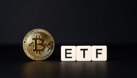 19 Bitcoin ETFs and Their Fees, Promotions and Holdings - NerdWallet