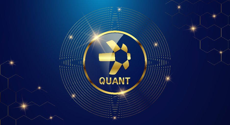 Quant price now, Live QNT price, marketcap, chart, and info | CoinCarp