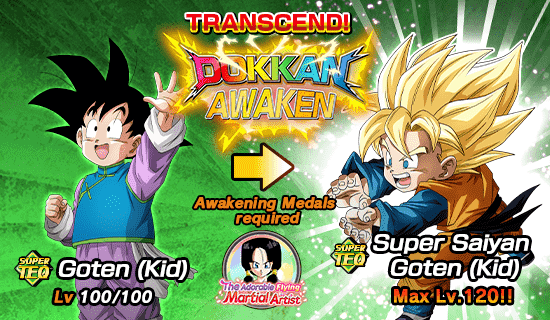 Dokkan Festival Coins Shop | Dragon Ball Z Dokkan Battle Wiki | Fandom