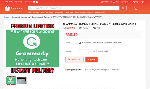 Grammarly Premium Price: How Much Does It Cost?