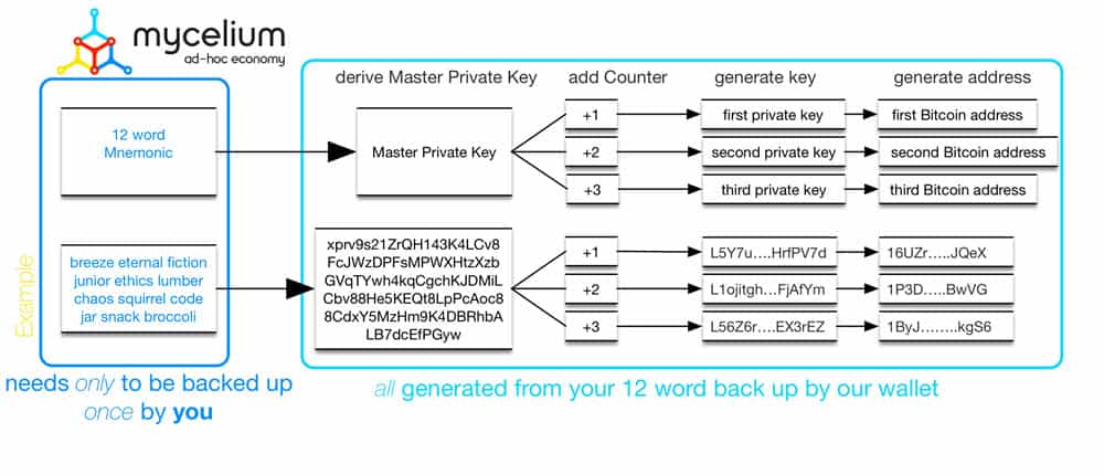 What Are the Different Types of Deterministic Wallets?