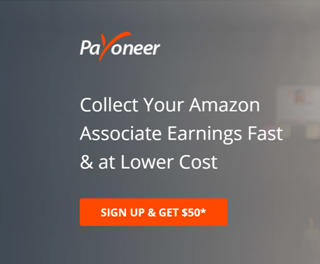 Failed payment via payoneer