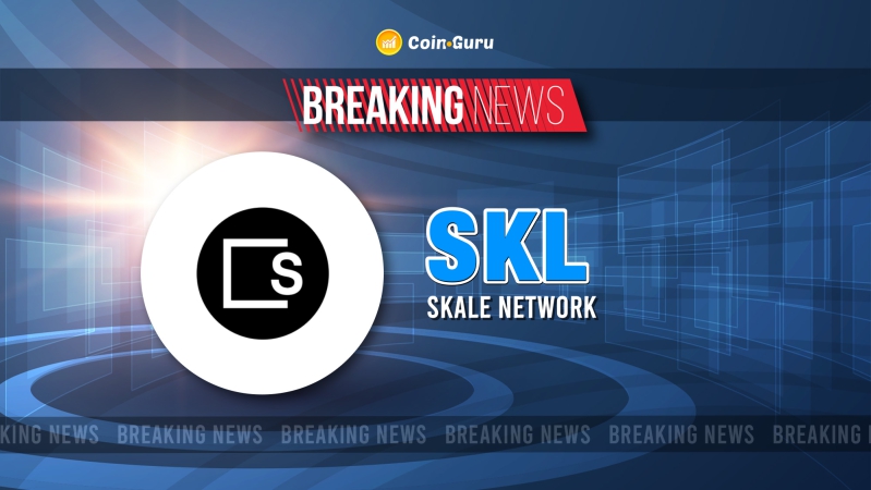 Is SKL Crypto A Good Investment? SKALE Crypto On-Chain Data Price Prediction