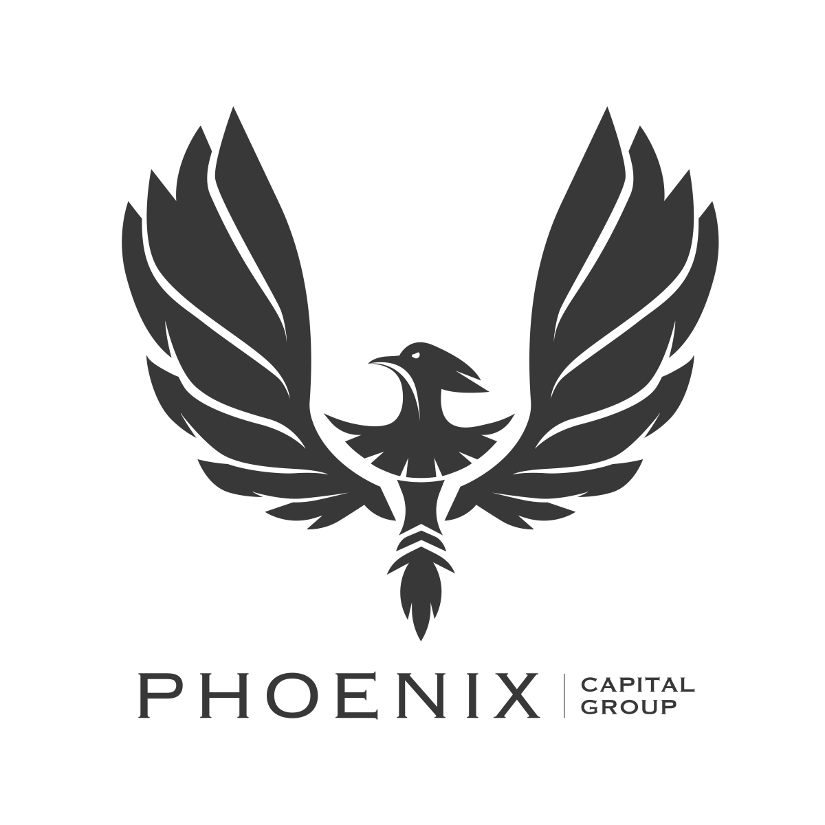 Phoenix Investor - Strategy for your money.