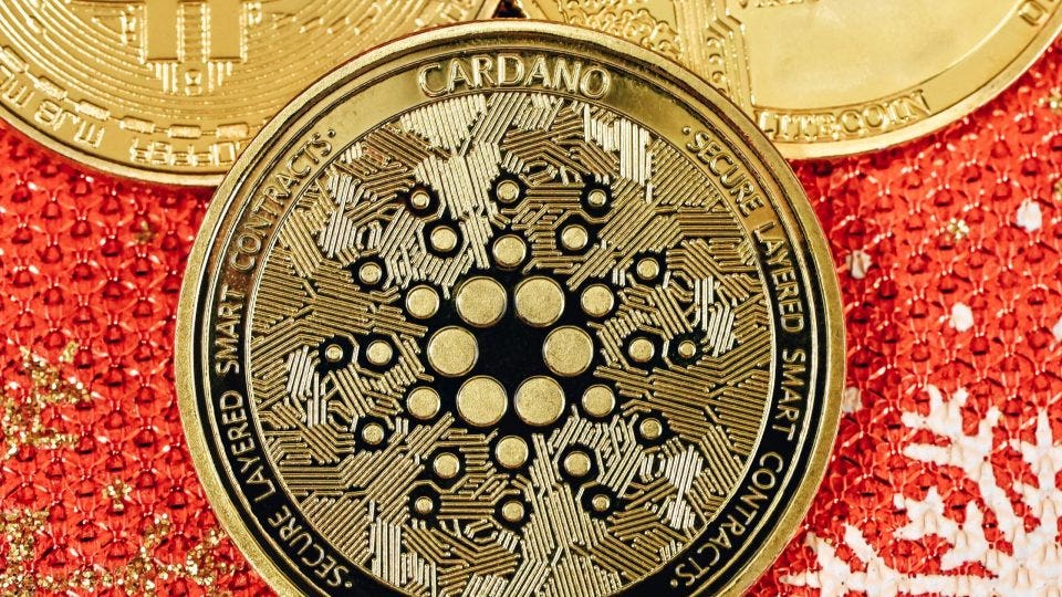 Investing In Cardano (ADA) - Everything You Need to Know - bitcoinlove.fun