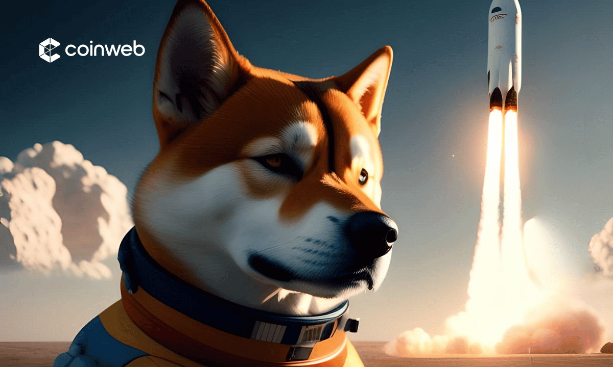 1 DOGE to USD - Dogecoins to US Dollars Exchange Rate