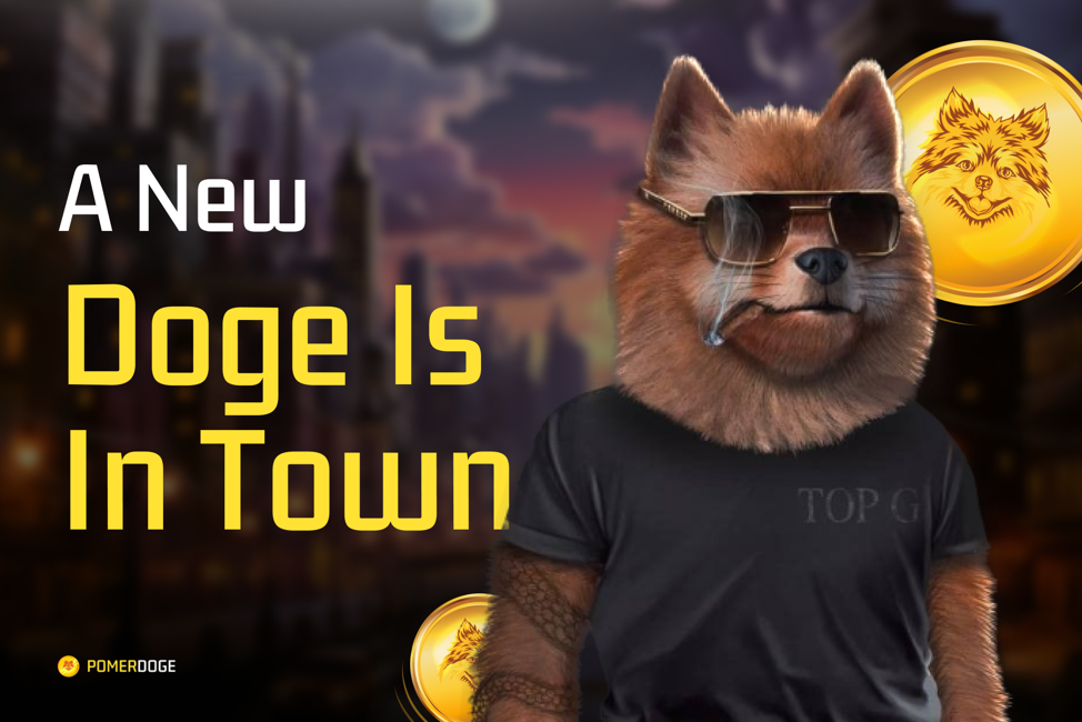 Dogecoin Price Prediction: , , 