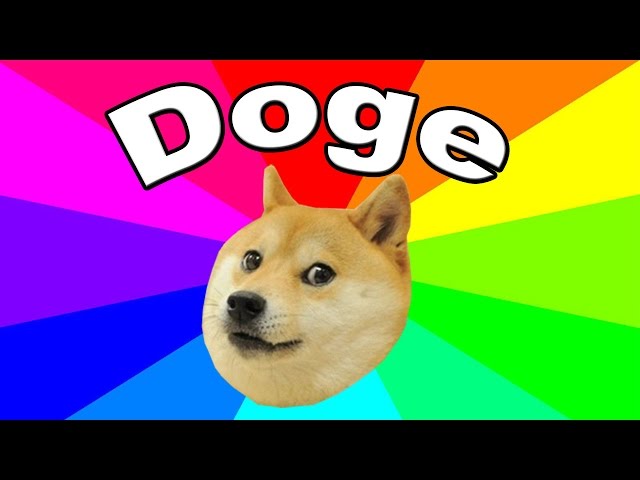 Doge (meme) - Wikipedia