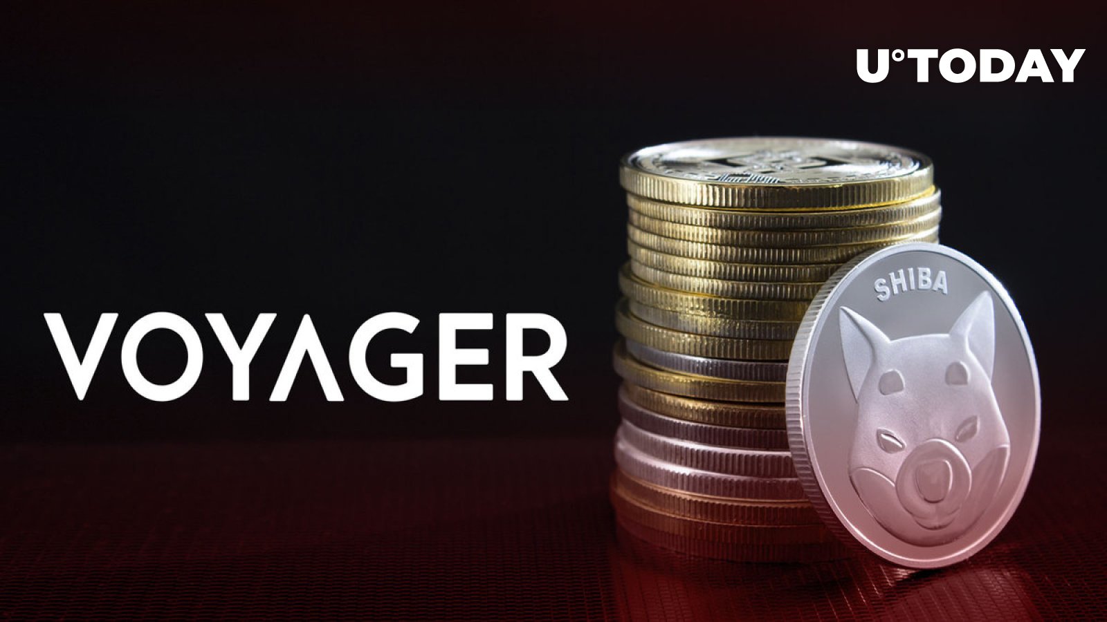 VGX Coin: what is Voyager VGX? Crypto token analysis and Overview | bitcoinlove.fun