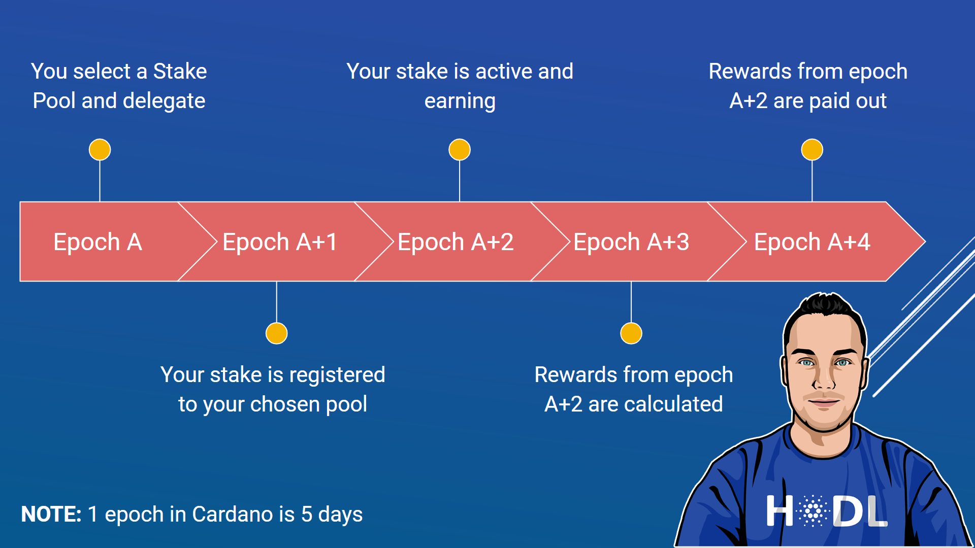 Mina (MINA) Staking Rewards Calculator: Earn ∼% | Staking Rewards