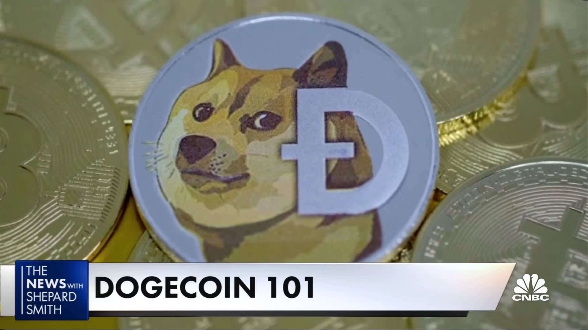 Beginner's Guide to What is Dogecoin (+ Best Dogecoin Wallet)