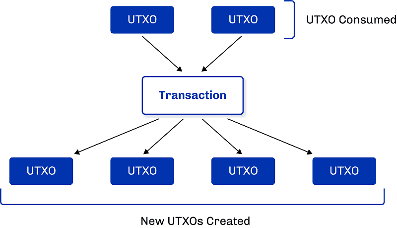 Tracking crypto fraud with unspent transaction outputs