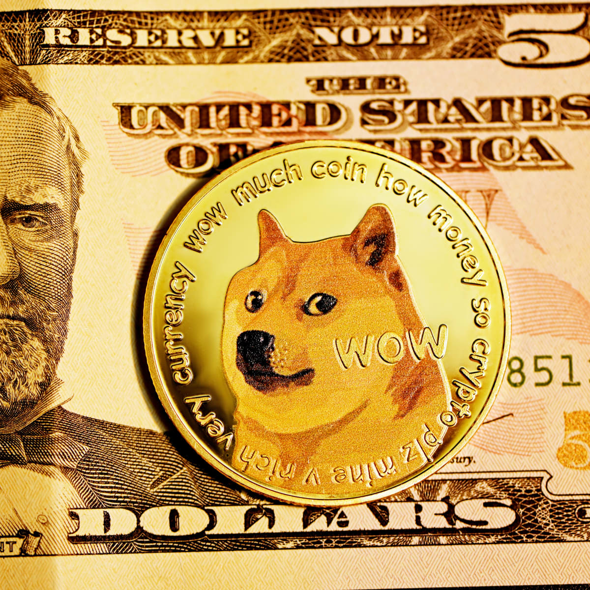 Dogecoin to US-Dollar Conversion | DOGE to USD Exchange Rate Calculator | Markets Insider