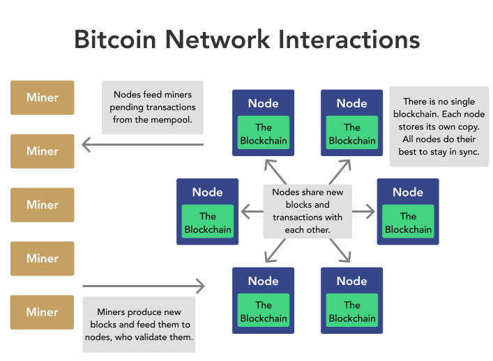 What You Need to Know About Bitcoin Nodes