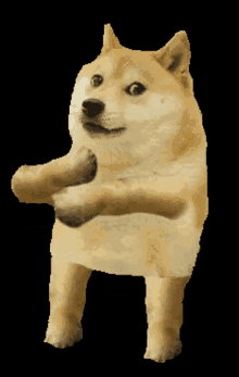Happy Doge Meme Generator - Imgflip