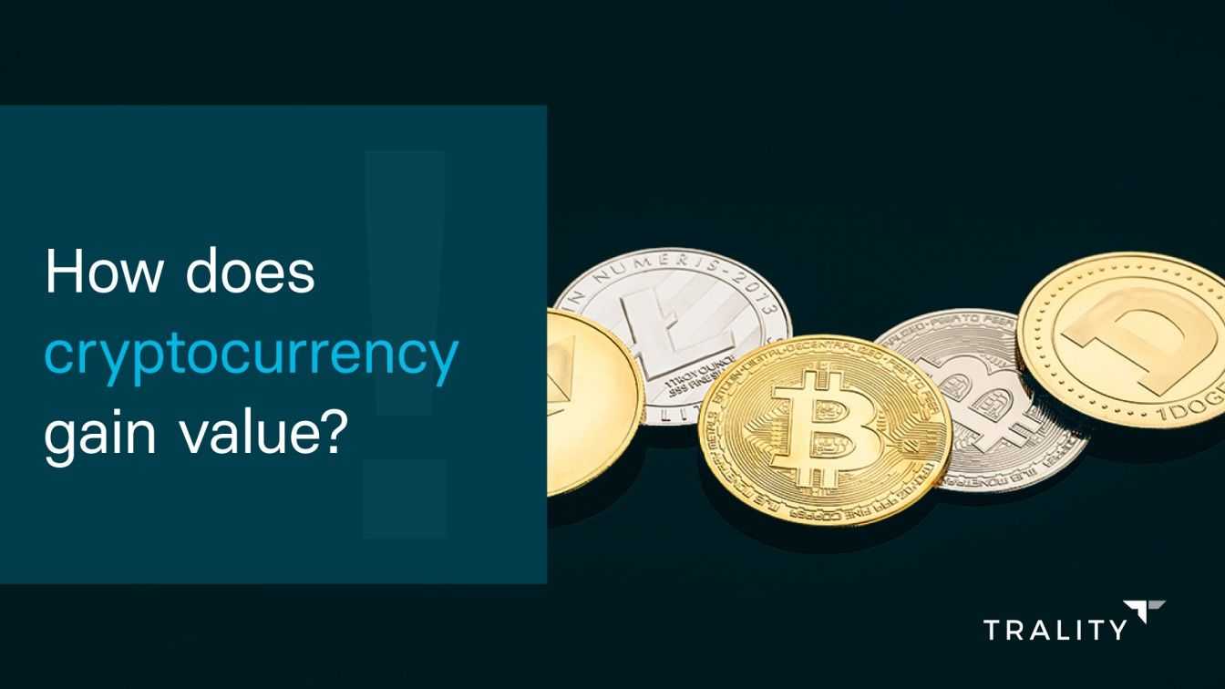 What Drives the Value of Cryptocurrency? | OpenGrowth