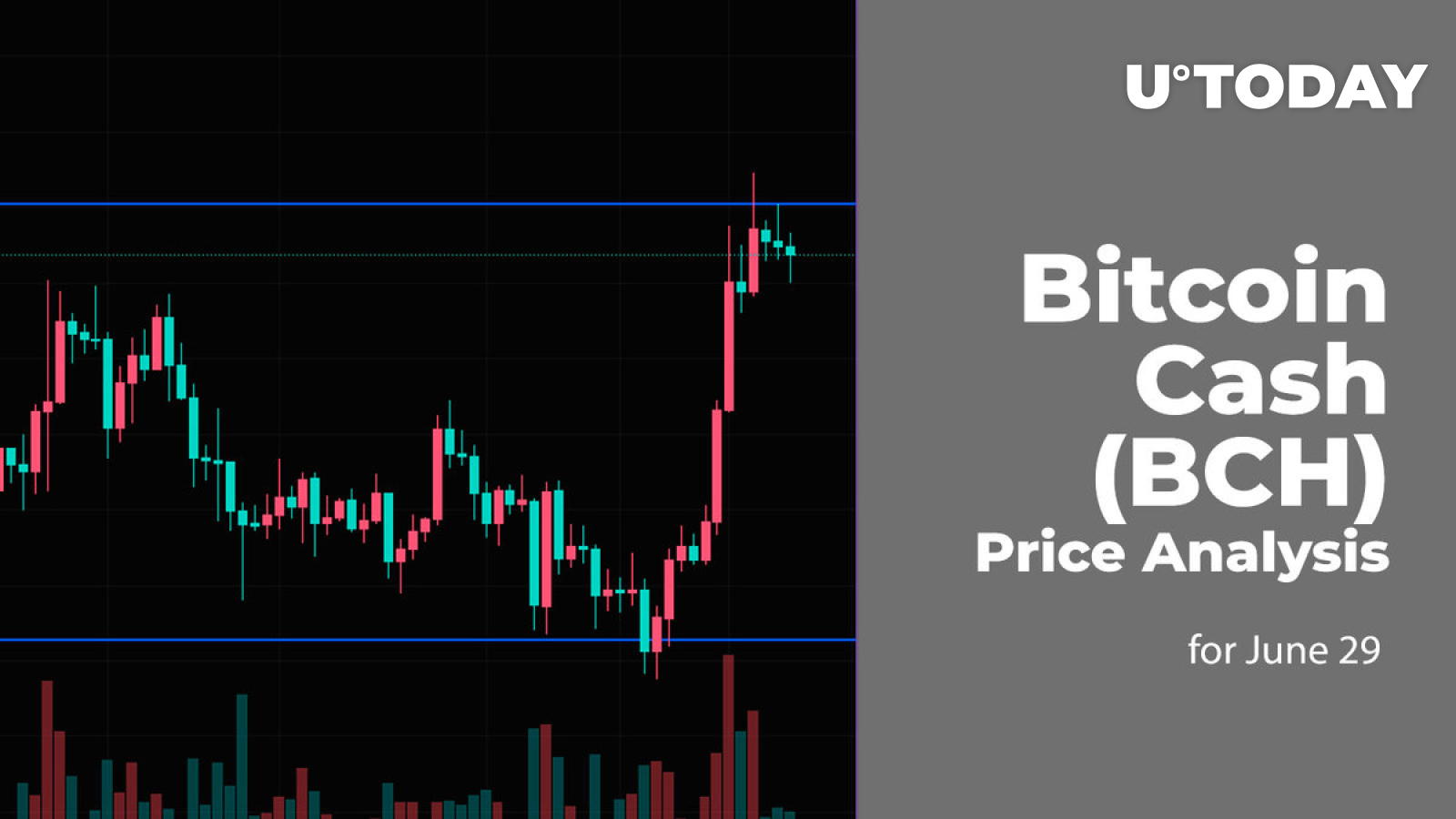 Live Litecoin Halving Countdown