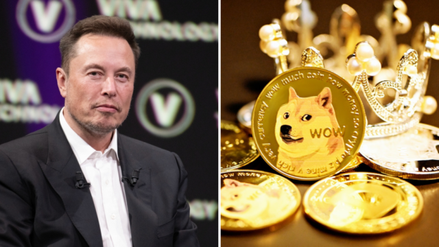 Fake Elon Musk TeslaCoin investment scam costs victims at least $