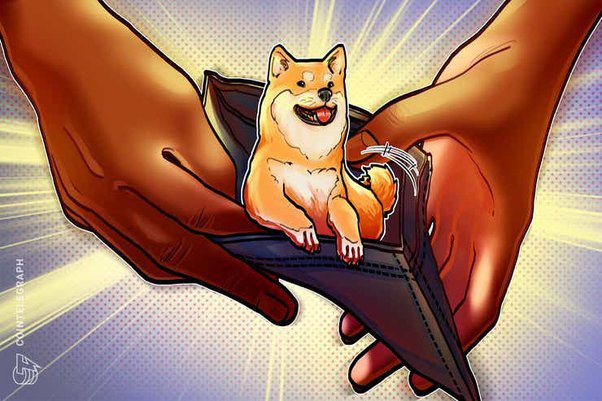 What is Baby Doge? Meet Elon Musk’s new favourite cryptocurrency