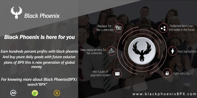 Top Black Phoenix Rich Address List | CoinCarp