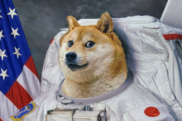 Dogecoin jumps 20% as crypto fans declare Doge Day | CNN Business