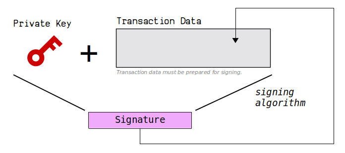 Bitcoin Transaction Signature Types (SIGHASH) - DEV Community