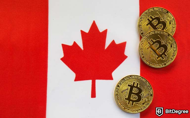 bitcoin canada: How to Buy Bitcoin in Canada - Beginner’s Guide - The Economic Times