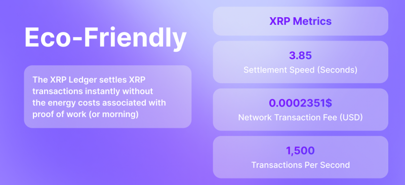 XRP Transactions Chart