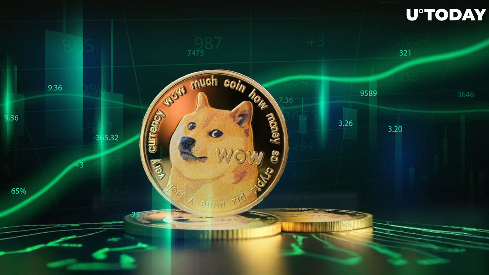 Dogecoin Wallet (DOGE) | Coin Wallet