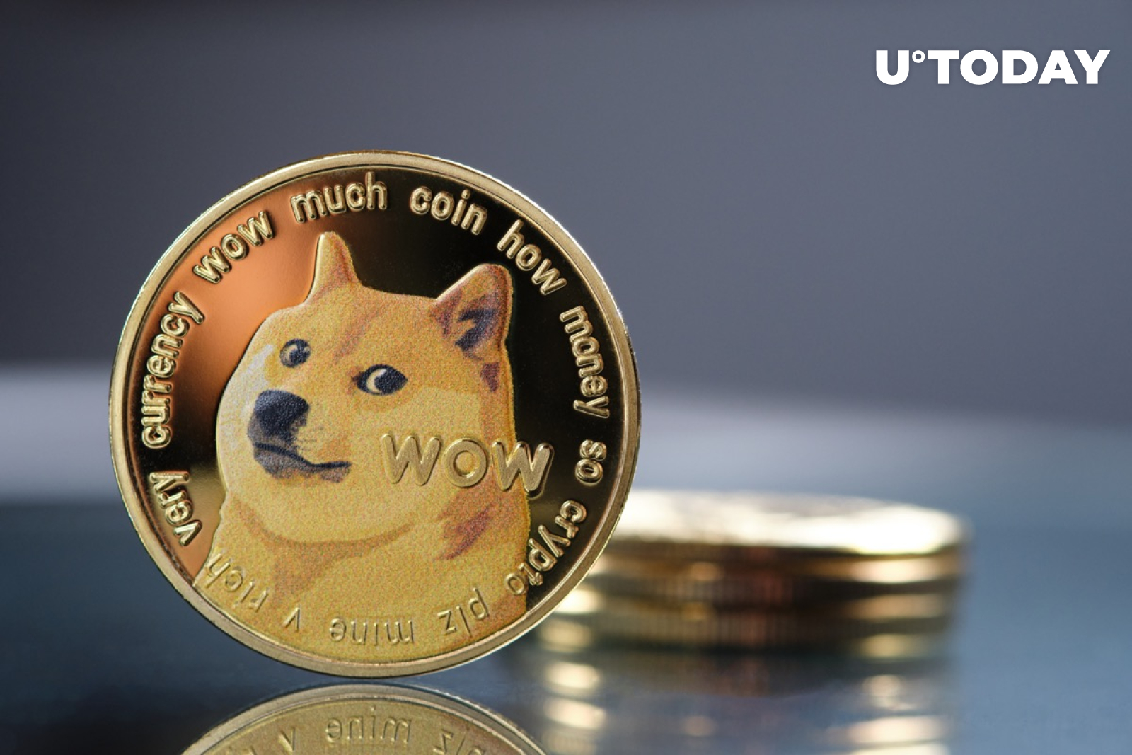 Top Richest Dogecoin Addresses and Dogecoin distribution