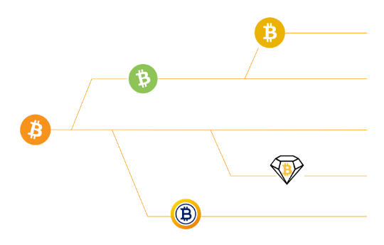 Hard Fork: What It Is in Blockchain, How It Works, Why It Happens