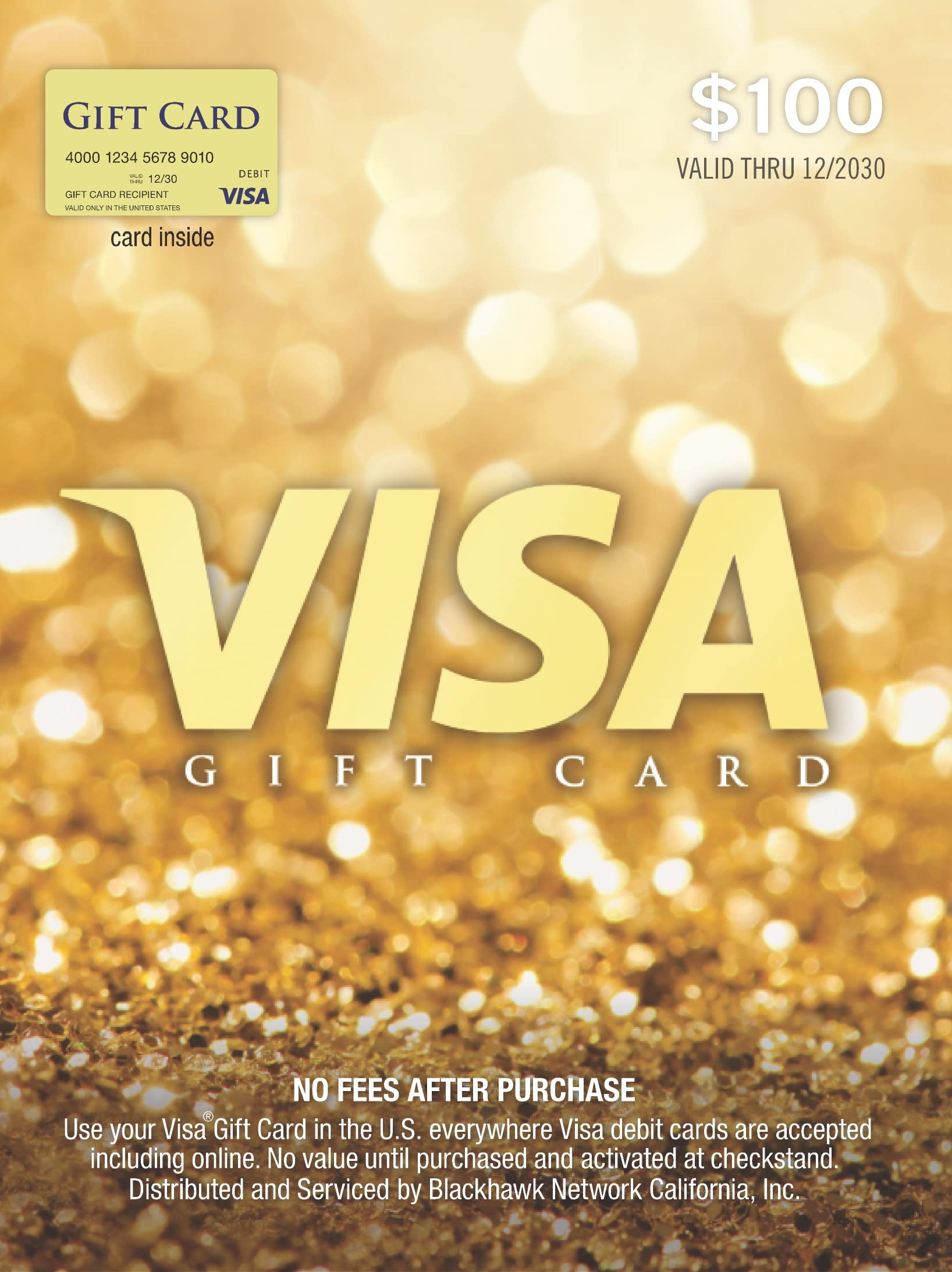 Buy a Visa Gift Card Online | Email Delivery | Dundle (US)