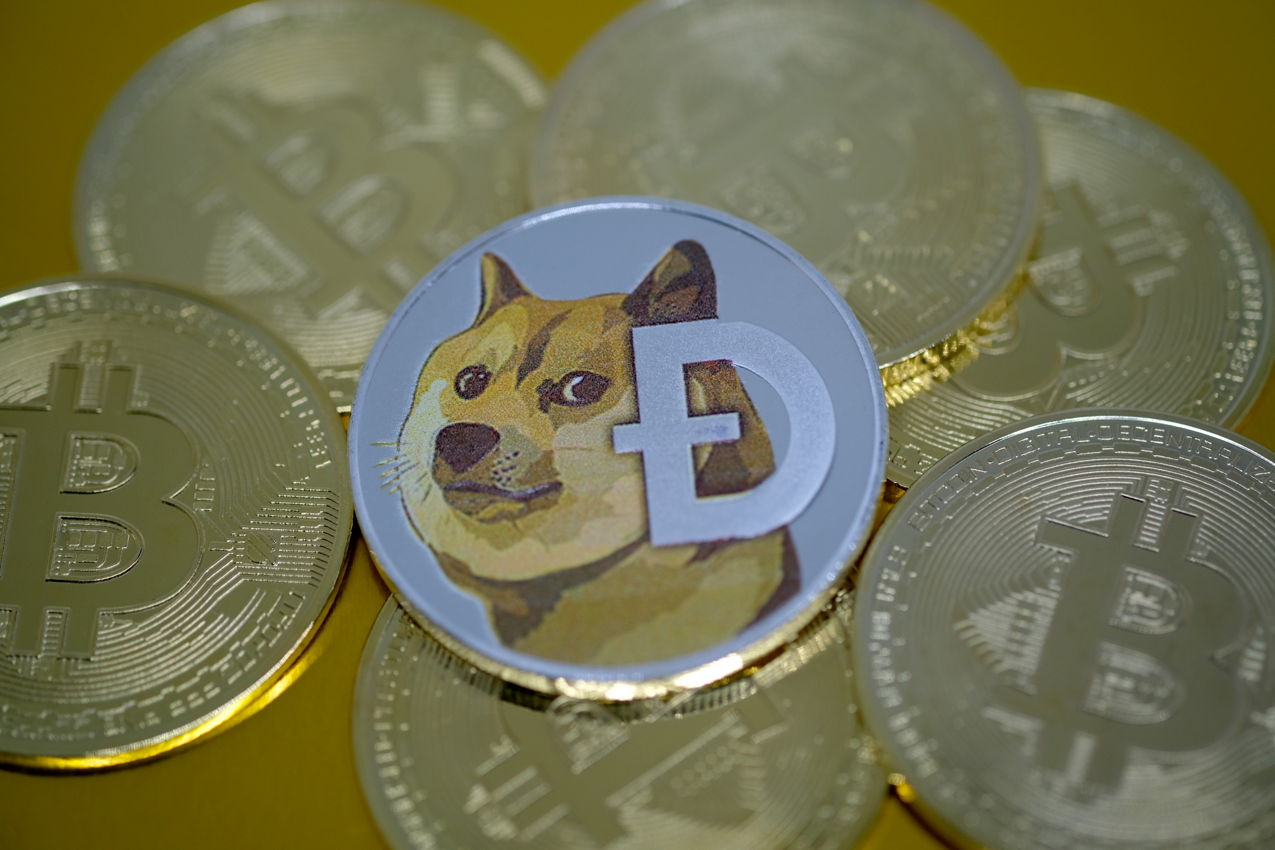 How to buy Dogecoin | Buy DOGE in 4 steps | bitcoinlove.fun